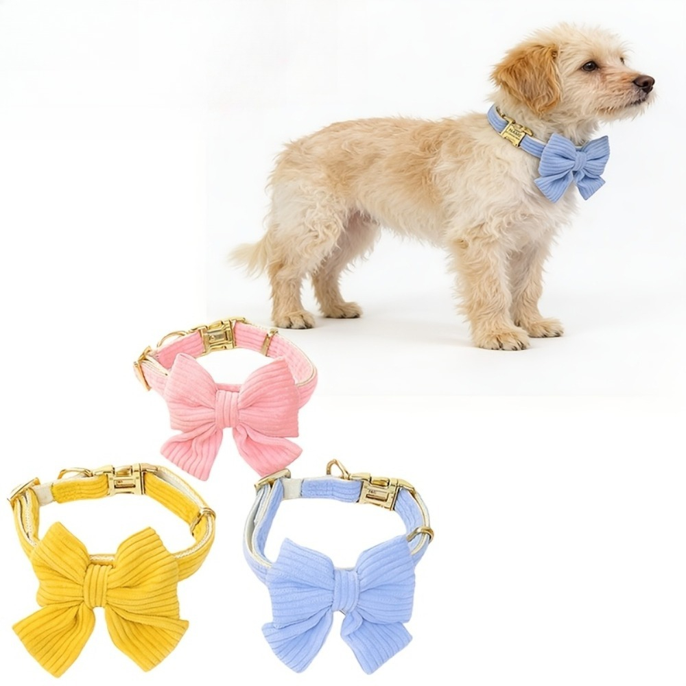 Collar Personalizado para Masc - Phone Accessories And Names reseña y precio