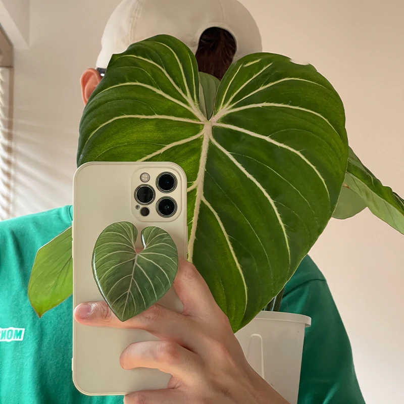 Soporte para teléfono de hoja  - Phone Accessories Vending Machine reseña y precio